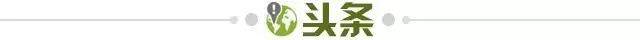 1651159287682040343.jpg 头条.jpg